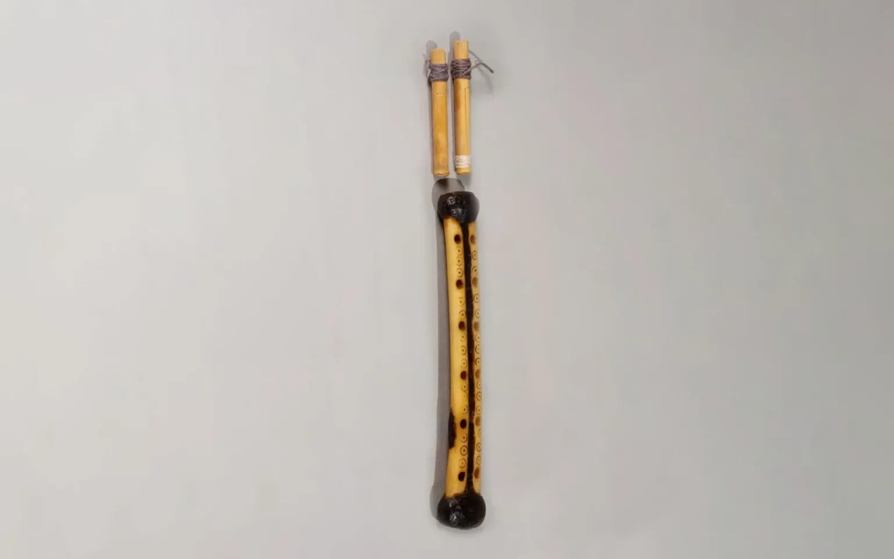 An Iranian kurdish double reed clarinet