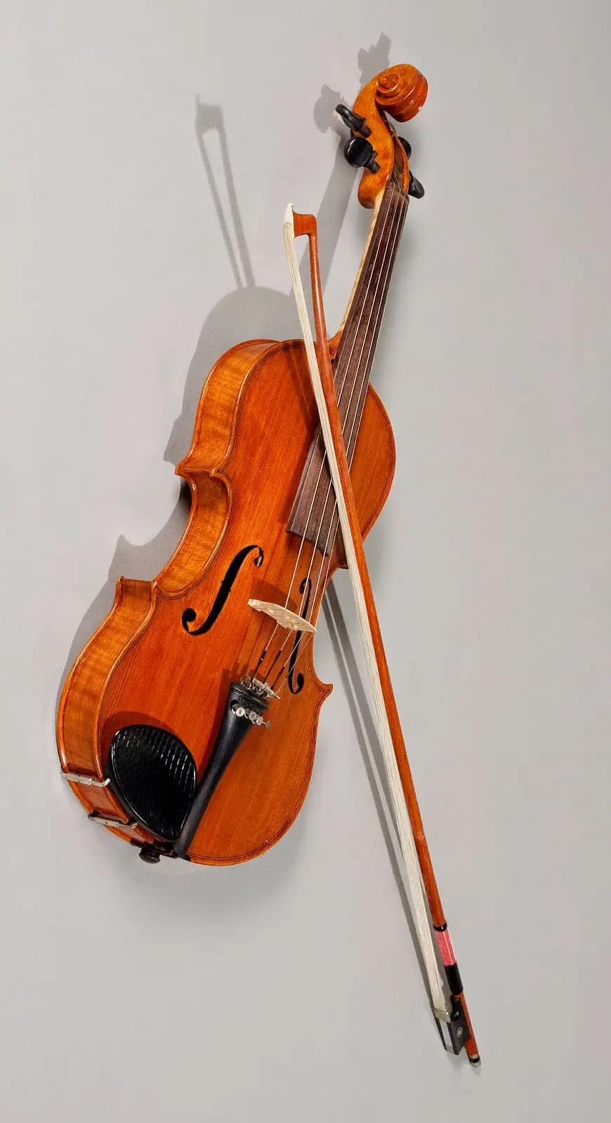 Violino (Uno splendido violino (violino persiano))