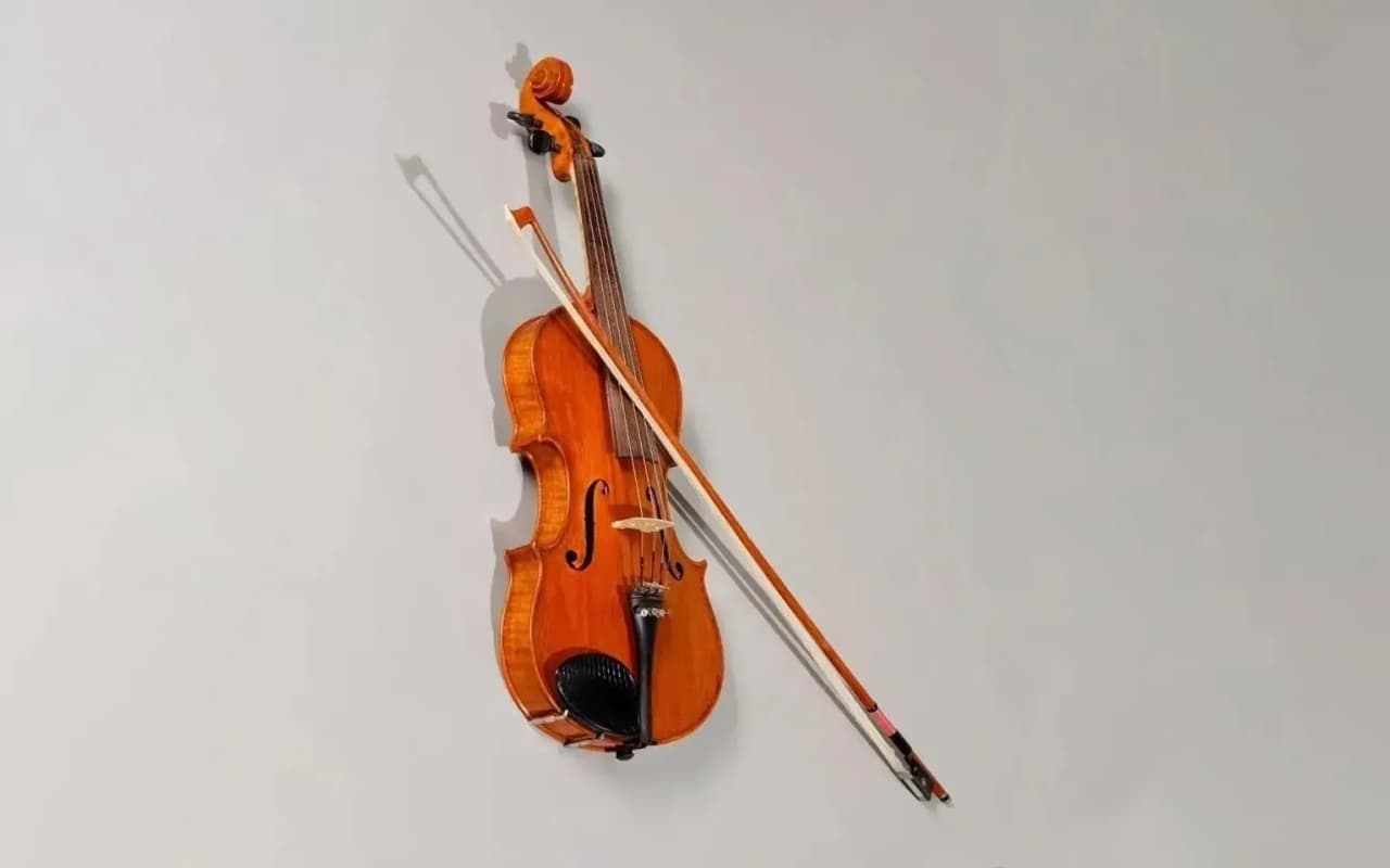 Uno splendido violino (violino persiano) Uno splendido violino (violino persiano)