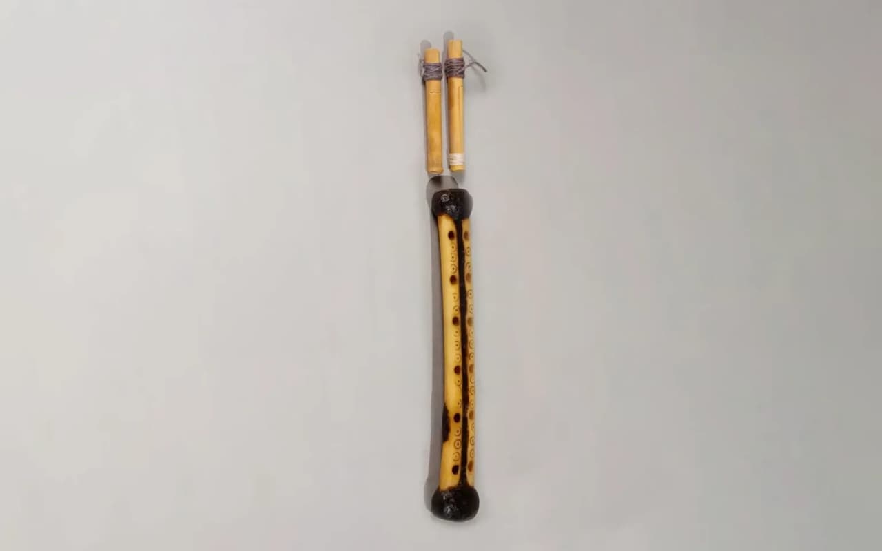 Un clarinetto curdo iraniano a doppia ancia Un clarinetto curdo iraniano a doppia ancia